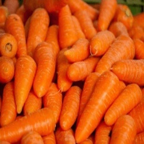 Healthy and Natural Fresh Carrot