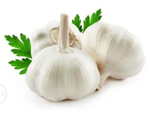 Healthy And Natural Fresh Garlic Dimension(L*W*H): 5 X 5 X 10 Inch (In)