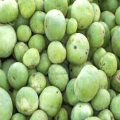 Healthy and Natural Fresh Round Gourd