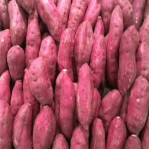 Healthy and Natural Fresh Sweet Potato