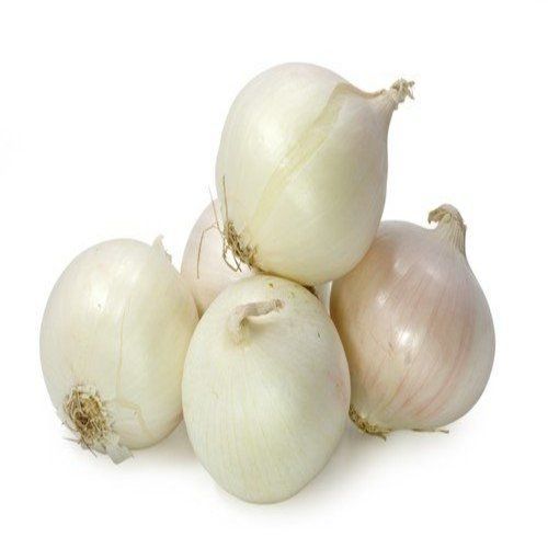 Healthy and Natural Fresh White Onion