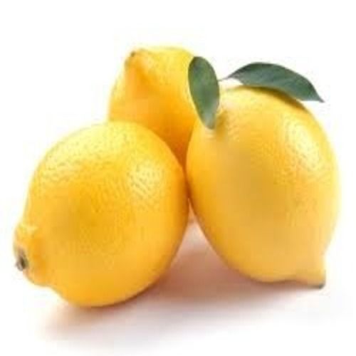 Healthy and Natural Fresh Yellow Lemon