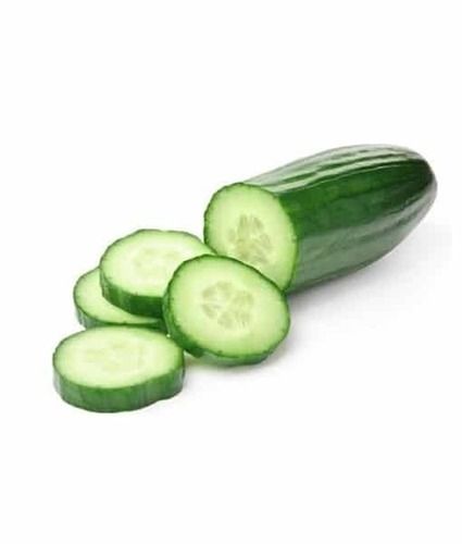 Healthy and Natural Fresh Cucumber