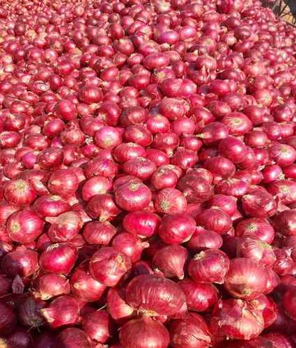 Nashik Fresh Red Onion