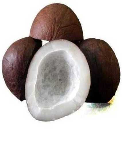 Organic and Natural Solid Coconut Copra