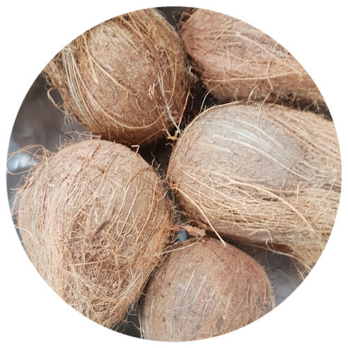A Grade Dried Copra Coconut