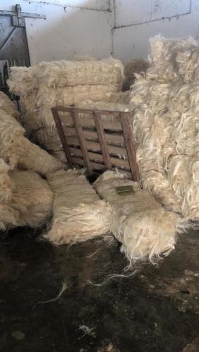 Grade A Natural Sisal Fiber