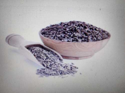 Natural and Dried Cumin Seed