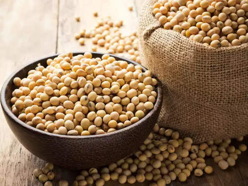 High Protein Soyabean Seeds