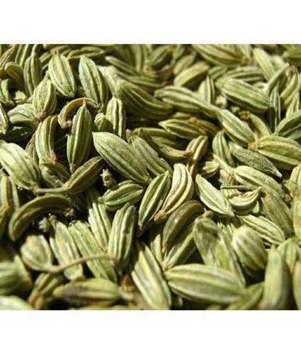 Dried and Natural Fennel Seed