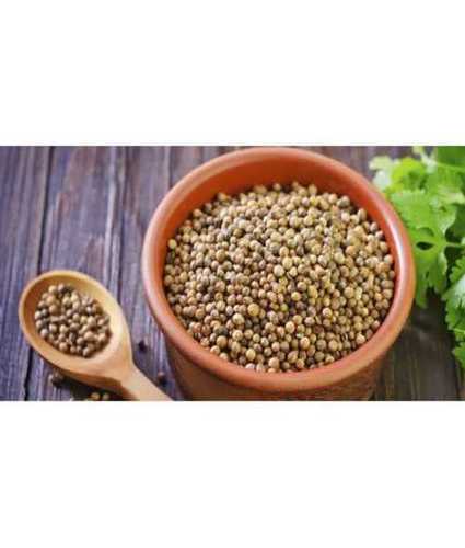 Commom Dried Organic Coriander Seed