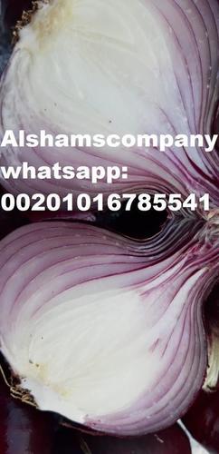 Rich Taste Fresh Onions - Purple Color, Multiple Layers | Good Quality, Good Storage, High Moisture, Natural, Pure