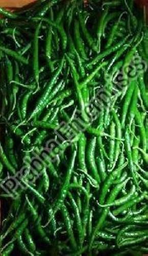 Fresh Green Chilli Vegetable