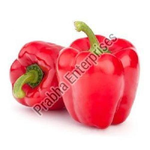Fresh Red Capsicum Vegetable