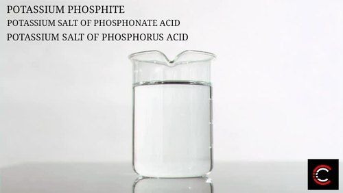 Liquid Potassium Salt Of Phosphorous Acid Grade: Industrial Grade