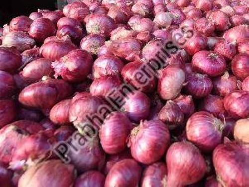 Natural and Fresh Red Onion