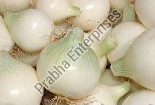 Natural and Fresh White Onion