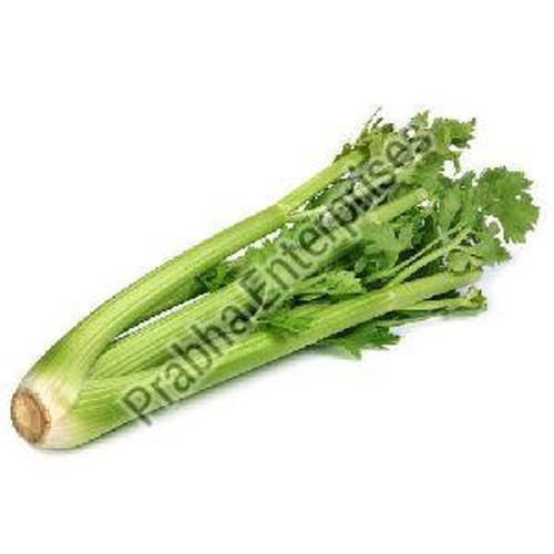 Vitamin D Fresh Celery