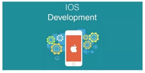 iOS Application Development Services