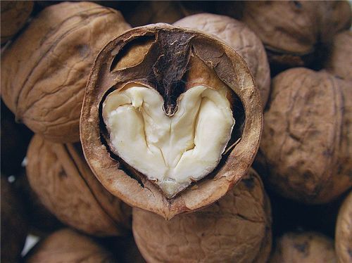 100% Natural Dry Walnut