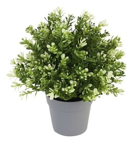 Decorative Artificial Plant Kashmiri (2 Color Shade, Pack Of 1) Length: 10  Centimeter (Cm)