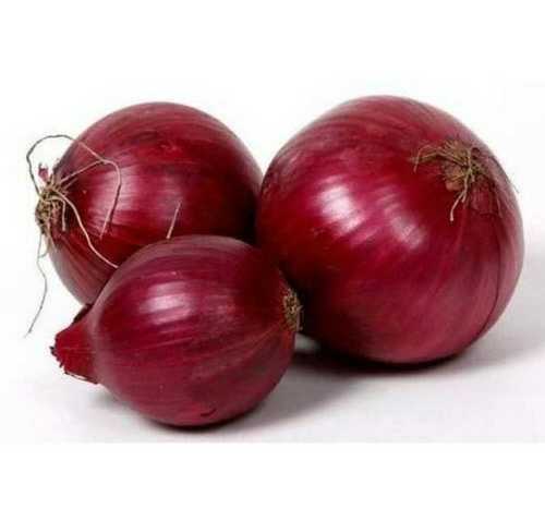 Medium Size Premium Red Onion