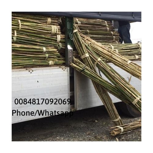Custom Size Bamboo Poles