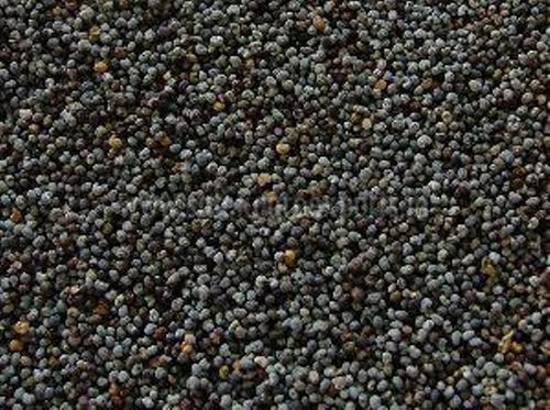 Black Color Poppy Seeds