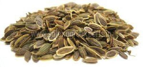 Organic Dried Dill Seeds
