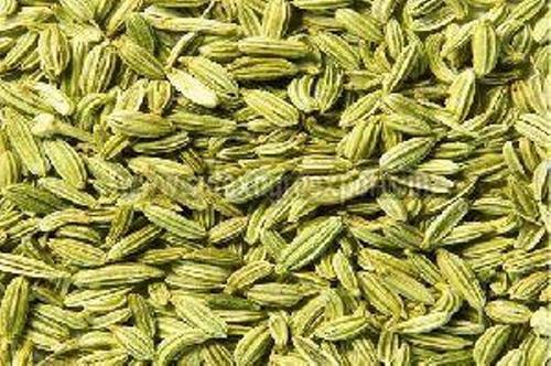 Sun Drying Fennel Seeds