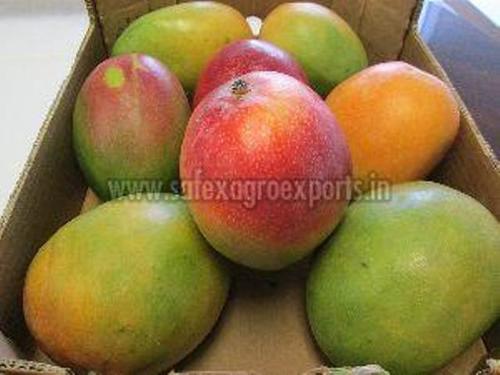 Green Sweet Fresh Mango In Wooden Box