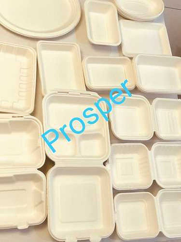 Biodegradable Bagasse 3 Compartment Tray