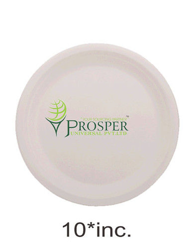 White Biodegradable Sugarcane 10" Plates