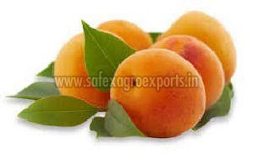 Orange Fresh Apricot In Wooden Box