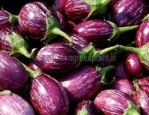 Oval Fresh Brinjal In Jute Bag