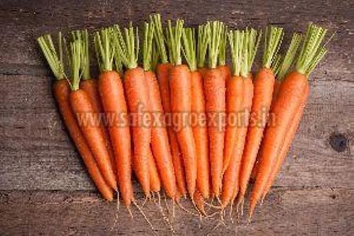 Long Fresh Carrot In Jute Bag