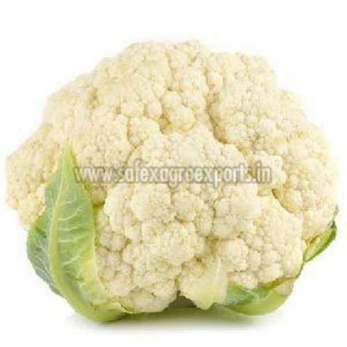 Round Fresh Cauliflower In Jute Bag