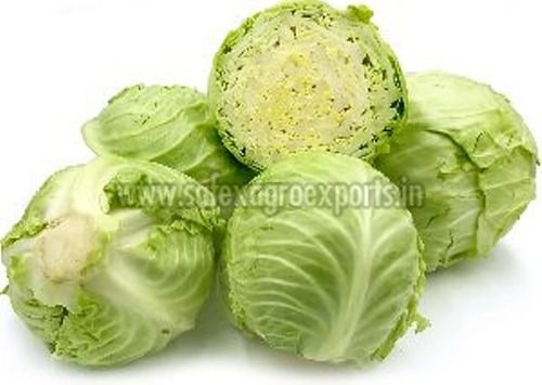 Fresh Green Cabbage In Jute Bag