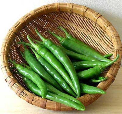 Green Color Fresh Chilli Shelf Life: 1-2 Week