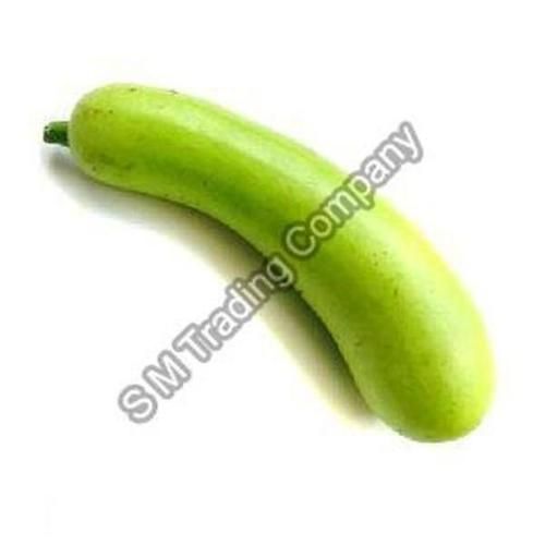 Organic Fresh Bottle Gourd Shelf Life: 1-2 Week