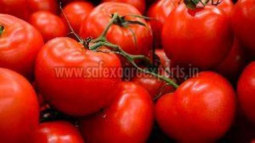 Organic Red Fresh Tomato 
