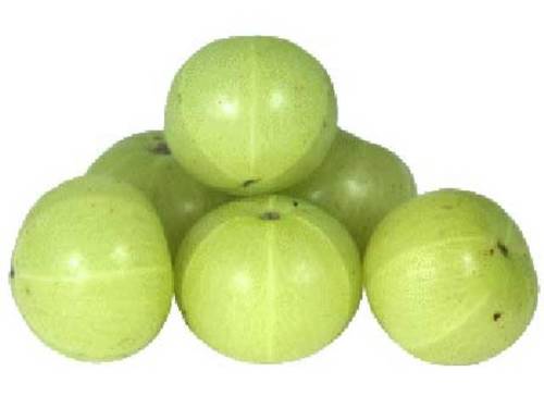 Green Juicy Fresh Indian Gooseberry 