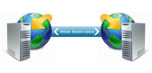 Customized Development Service