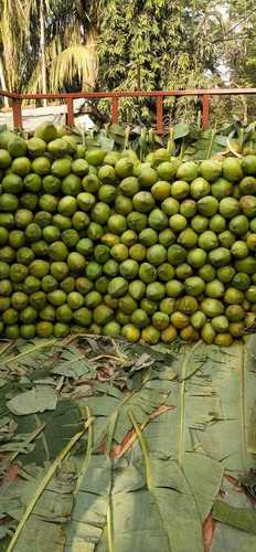 Natural Fresh Green Coconut