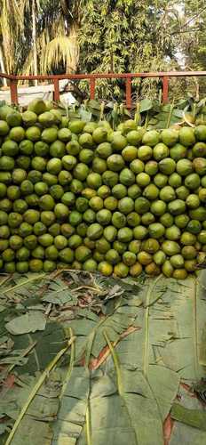 प्राकृतिक ताजा हरा नारियल