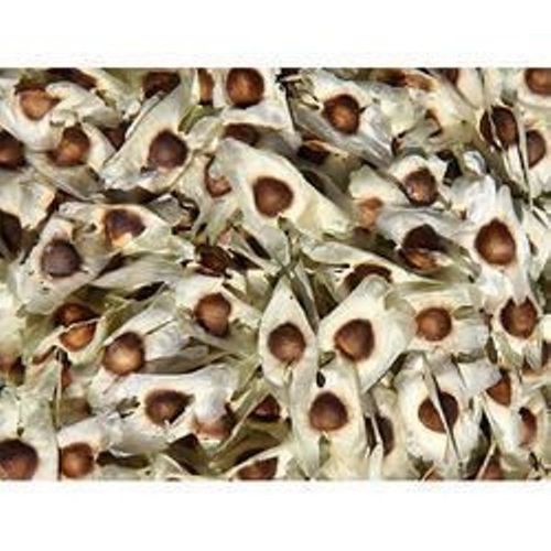 Black Brown Organic Moringa Seeds