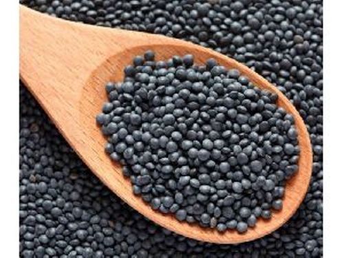 Common Black Lentils For Cooking