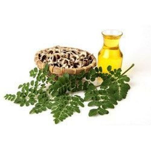 Cleaned Genuine Moringa Oil Seeds