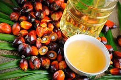 Organic Common Cooking Palm Oil 