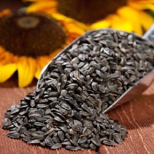 Natural Sunflower Oil Seeds
